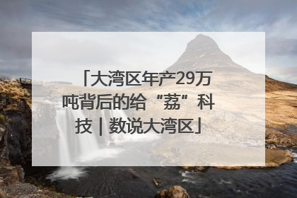 大湾区年产29万吨背后的给“荔”科技｜数说大湾区
